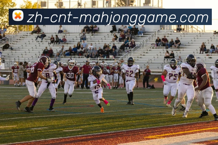 App Interface Preview